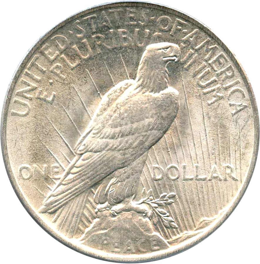 image for: Top 50 VAM: 1923 $1 PCGS MS61 (VAM-1F, Chin Bar)