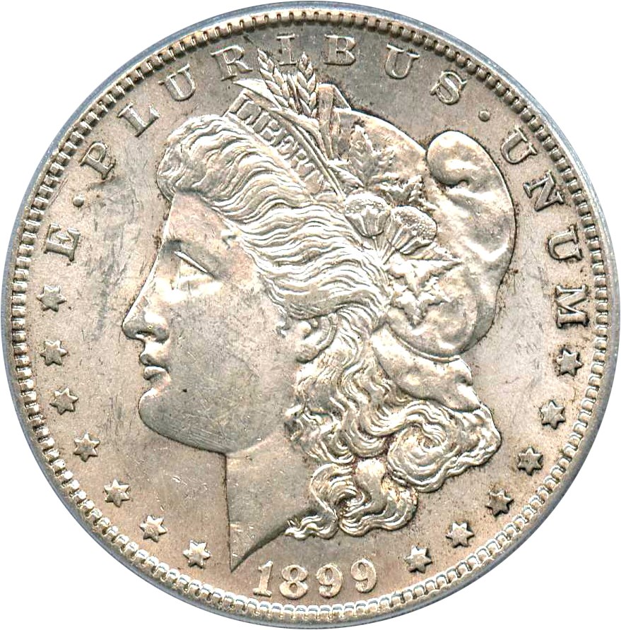 image for: Top 100 VAM: 1899-S $1 PCGS AU58 (VAM-7, Doubled Date)