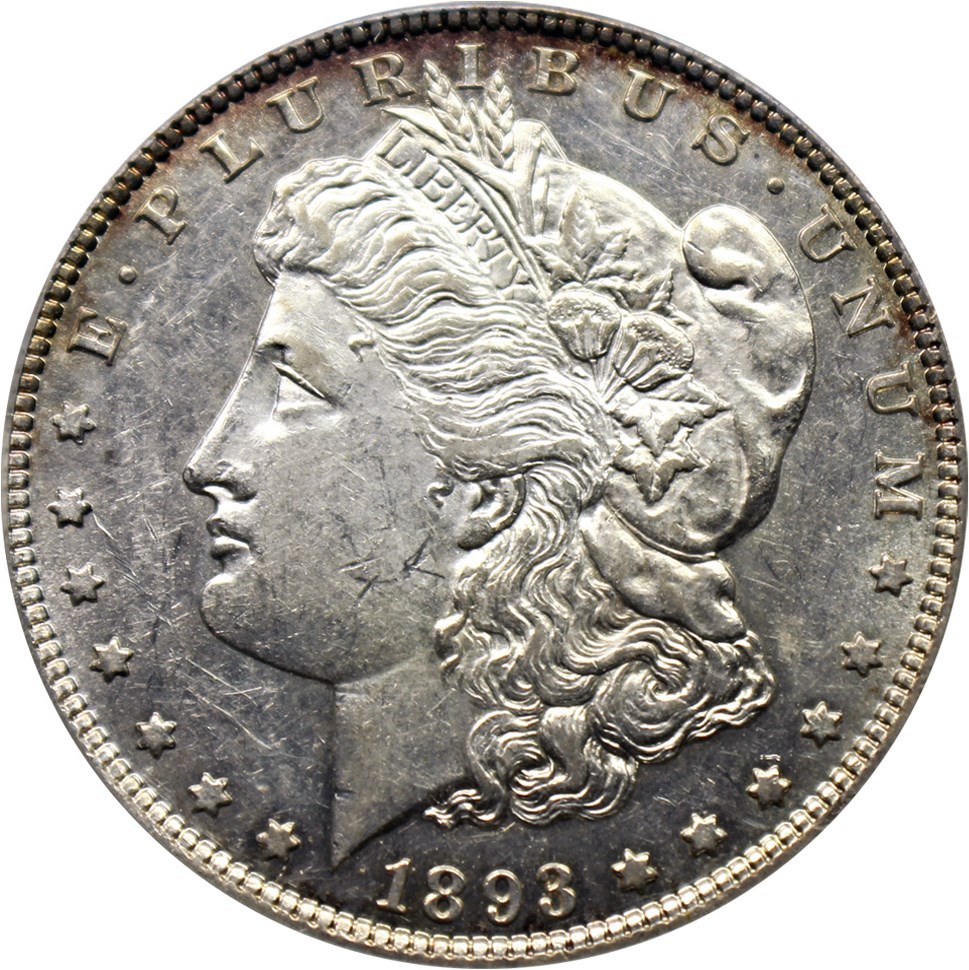image for: Top 100 VAM: 1893 $1 PCGS AU55 (VAM-4, Doubled Stars)