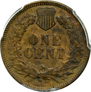 image for: 1876 1c PCGS XF Details (Cleaning)