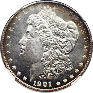 image for: 1901-O $1 NGC MS65 PL