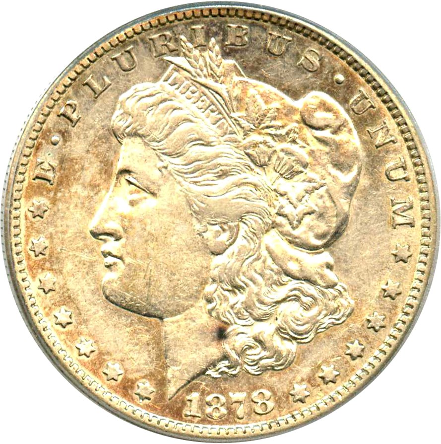 image for: Top 100 VAM: 1878-CC $1 PCGS AU50 (VAM-24, Doubled Leaves)