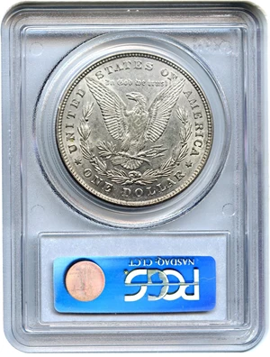 image for: Hot 50 VAM: 1878 8TF $1 PCGS AU50 (VAM-14.5, Open Nostril)