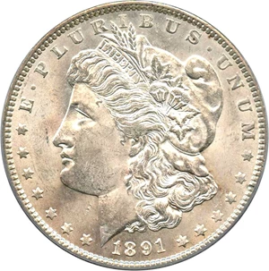 image for: Top 100 VAM: 1891 $1 PCGS MS64 (VAM-2, Doubled Ear)