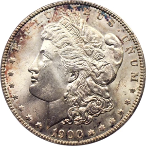 image for: 1900 $1 PCGS MS64 (VAM-24, Doubled Wing)