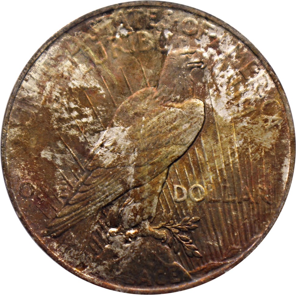image for: 1923 $1 PCGS MS64 (VAM-1F, Chin Bar)