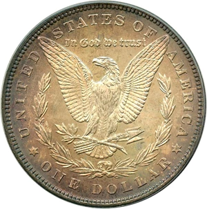 image for: 1884 $1 PCGS MS64 (VAM-3, Large Dot)