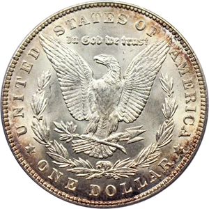 image for: 1900 $1 PCGS MS64 (VAM-24, Doubled Wing)