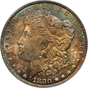 image for: Hot 50 VAM: 1880 $1 PCGS/CAC MS65 (VAM-11, Checkmark)