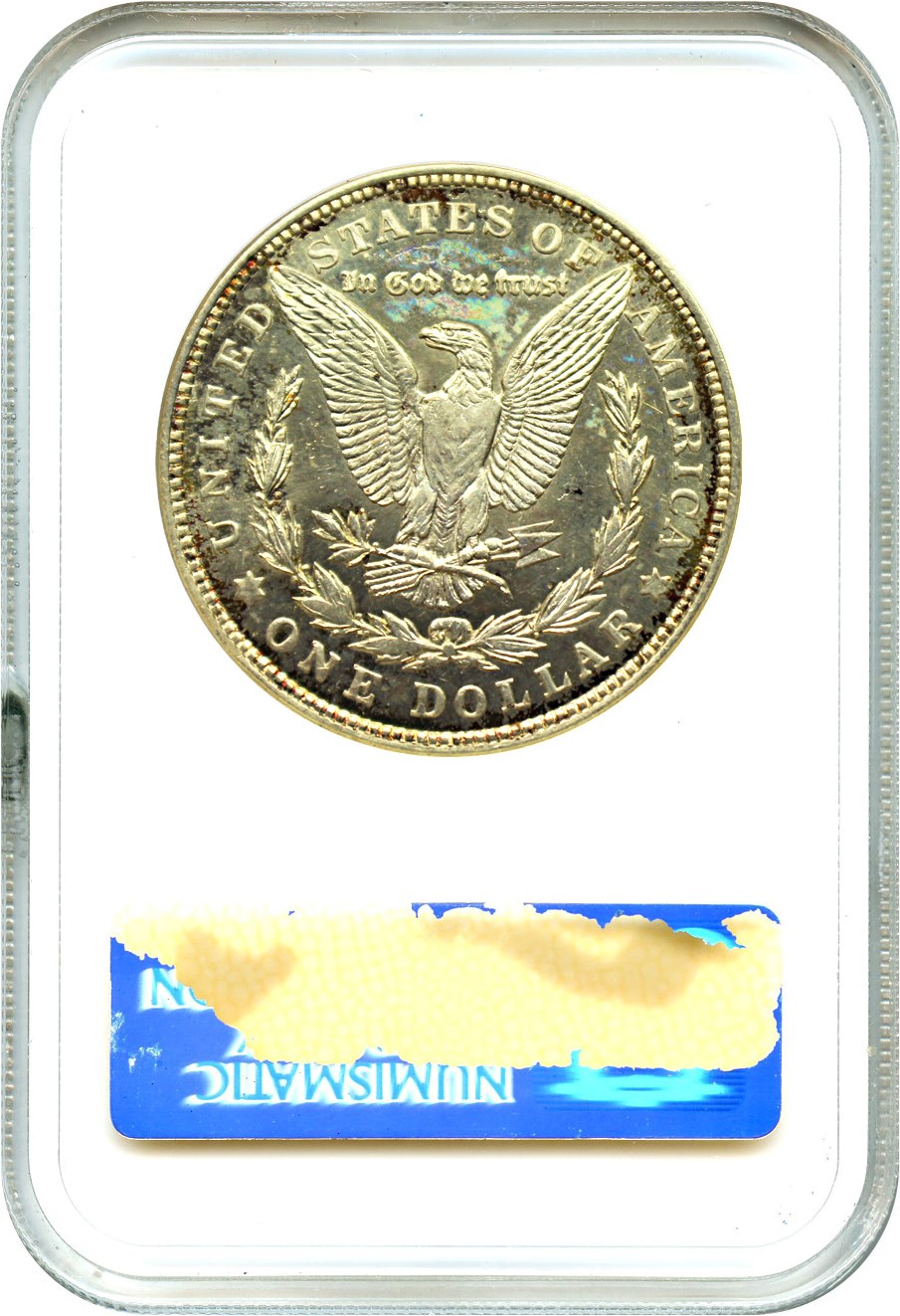 1921 $1  Morgan MS DMPL MS61 DMPL CAC thumbnail 22