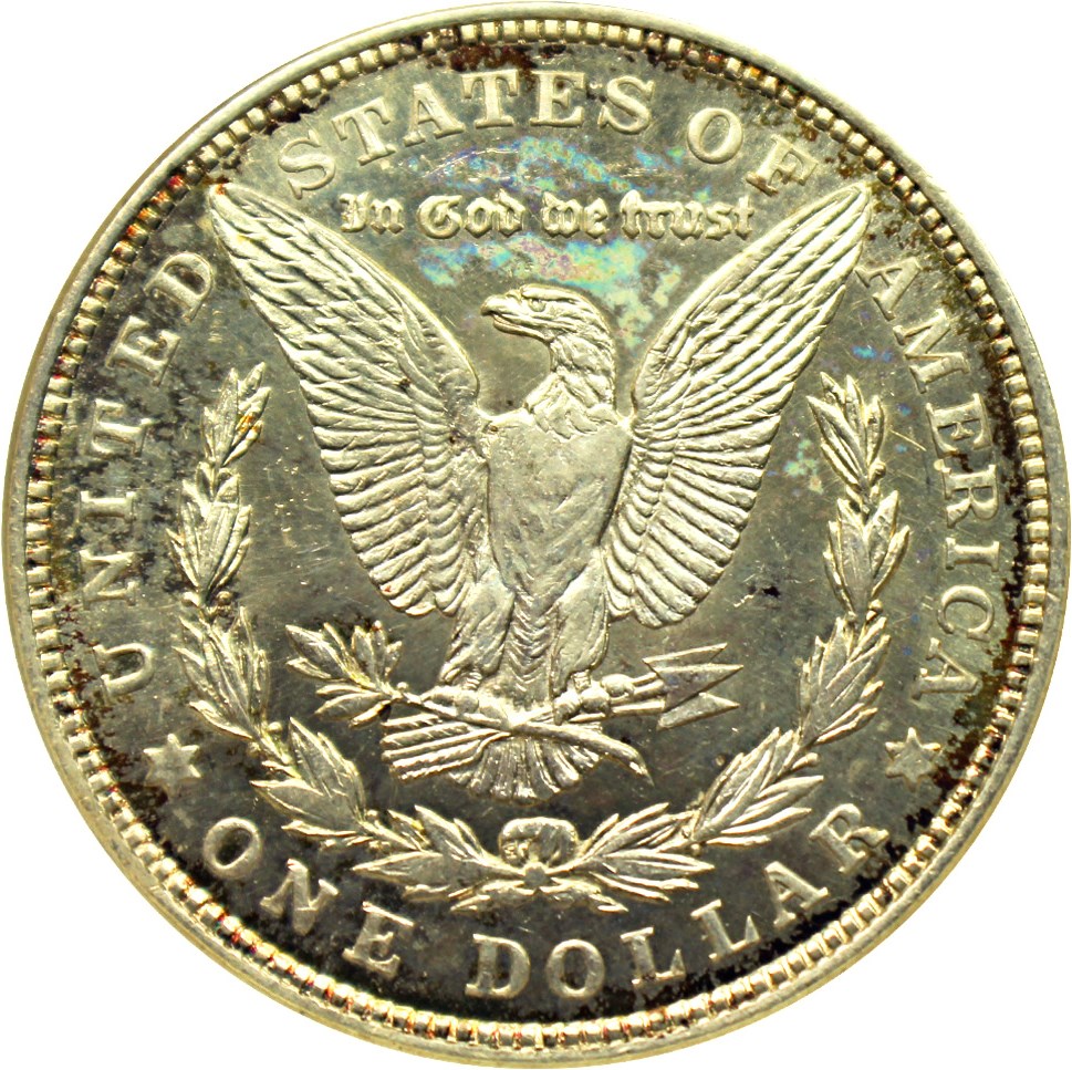 image for: 1921 Morgan $1 NGC MS63 DMPL