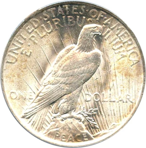 image for: 1923 $1 PCGS MS65 (VAM-1B, Extra Hair)