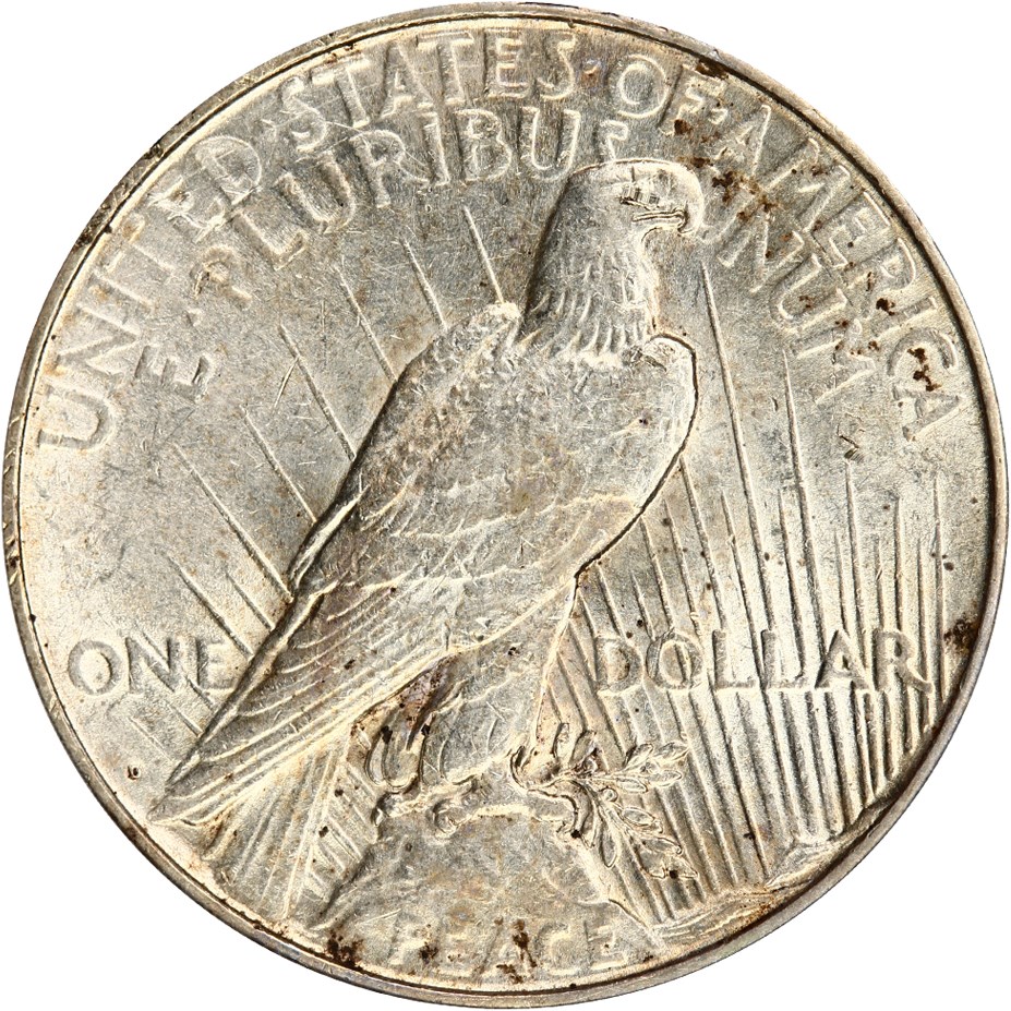 image for: 1922-D $1 PCGS AU53 (VAM-3, Doubled Leaves)