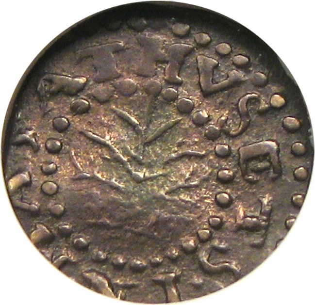 image for: 1662 Oak Tree 2 Pence NGC MS61