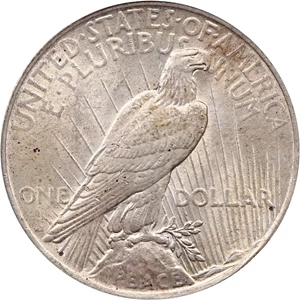 image for: 1922 $1 PCGS AU58 (VAM-5, Tripled Leaves)
