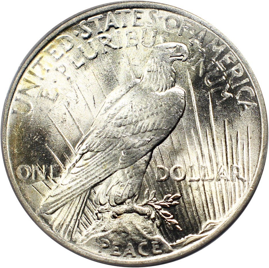 image for: 1924 $1 PCGS/CAC MS63 (VAM-2, Doubled Reverse)