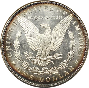 image for: 1882 $1 NGC MS63 DMPL (OH)