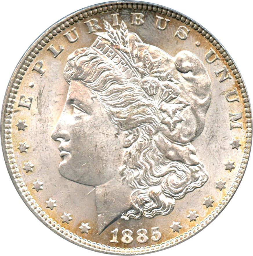 image for: Hot 50 VAM: 1885 $1 PCGS MS63 (VAM-1A, Pitted Reverse)