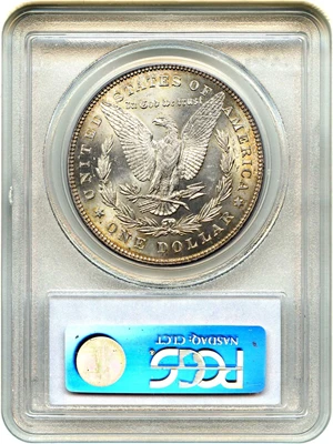 image for: Top 100 VAM: 1878 7TF $1 PCGS MS64 (Reverse of 1878, VAM-100, Type1 Obv)