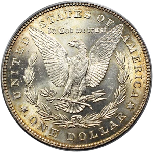 image for: Top 100 VAM: 1878 7TF $1 PCGS MS64 (Reverse of 1878, VAM-100, Type1 Obv)