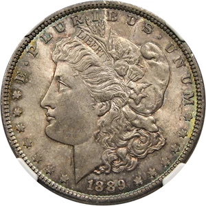 image for: Hot 50 VAM: 1889 $1 NGC MS63 (VAM-18, DDO Ear & Chip)