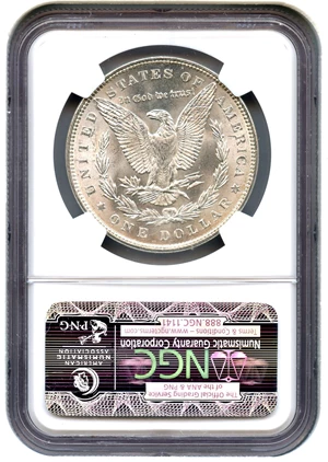 image for: Hot 50 VAM: 1889 $1 NGC MS64 (VAM-20, Doubled Ear)