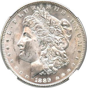 image for: Hot 50 VAM: 1889 $1 NGC MS64 (VAM-20, Doubled Ear)
