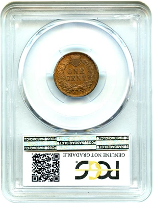 image for: 1876 1c PCGS AU Detail (Cleaned)