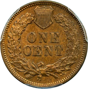 image for: 1876 1c PCGS AU Detail (Cleaned)