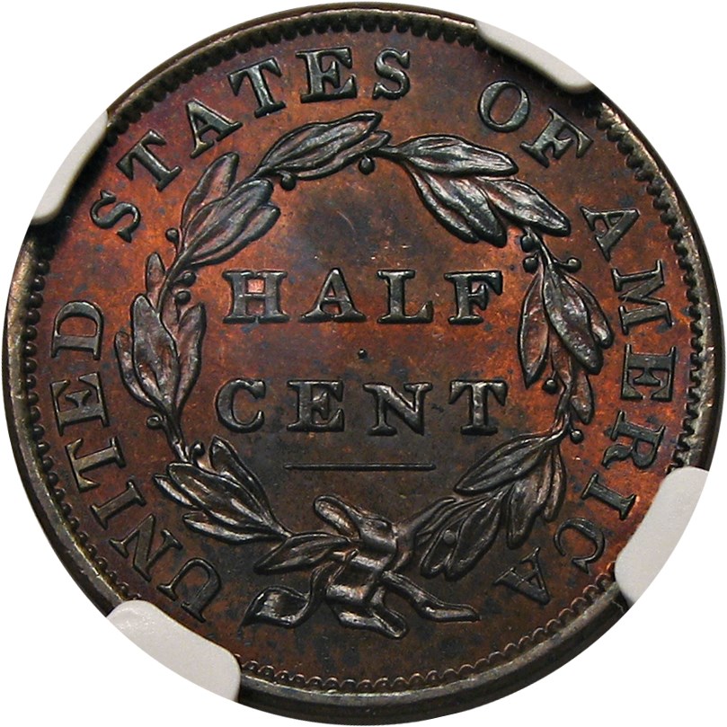 image for: 1834 1/2c NGC MS61 RB