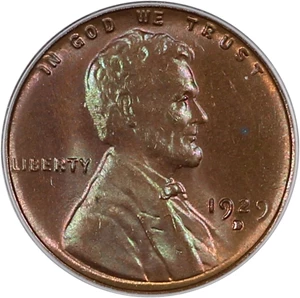 image for: 1929-D 1c PCGS MS64 RB (OGH)