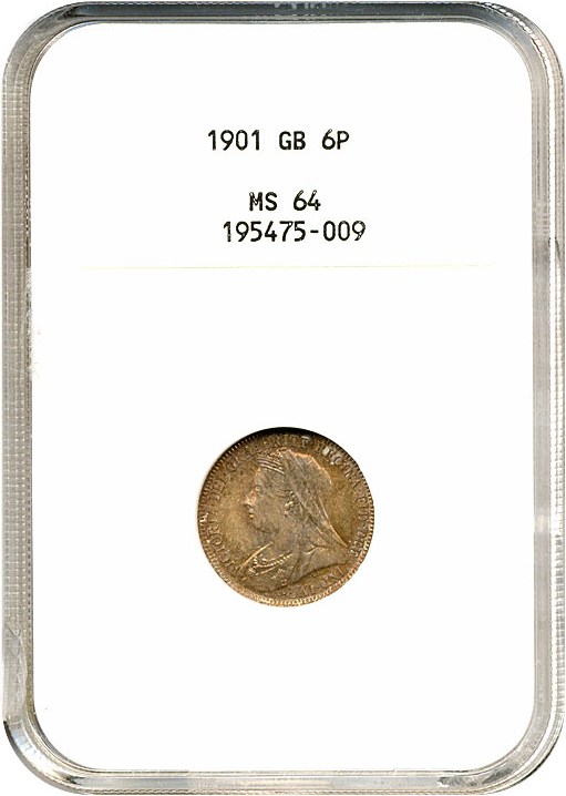 1901 6D MS