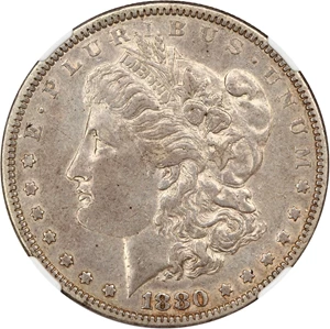 image for: Top 100 VAM: 1880 $1 NGC XF45 (VAM-6, 8/7 Spikes)