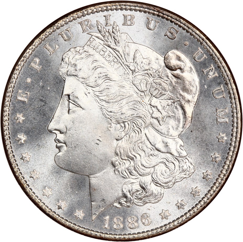 image for: Top 100 VAM: 1886 $1 NGC MS65 (VAM-17, Doubled Arrows)