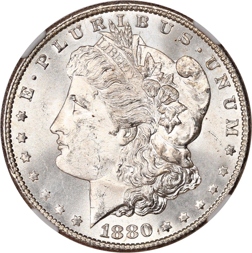 image for: Hot 50 VAM: 1880-S $1 NGC MS65 (VAM-11, 0/9 Medium S)