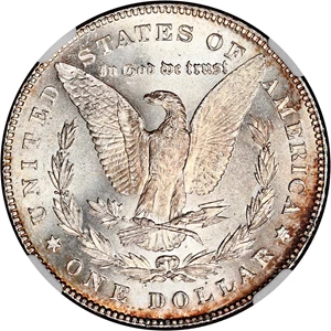 image for: Top 100 VAM: 1878 7TF $1 NGC MS63 (Reverse of 1878, VAM-100, Type1 Obv)