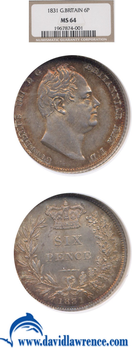 1831 6D MS