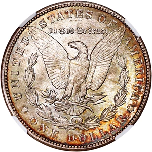image for: Hot 50 VAM: 1900 $1 NGC MS62 (VAM-16, Two Olive Rev)