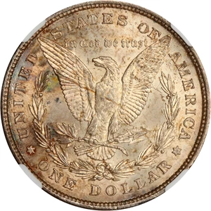 image for: 1878 8TF $1 NGC MS63 (VAM-14.1, Alligator Eye)
