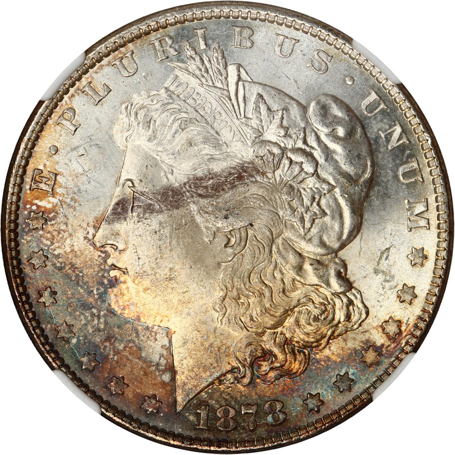 image for: 1878 8TF $1 NGC MS64 (VAM-4, Denticle Chip)