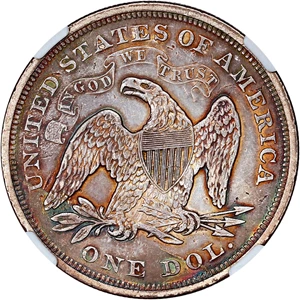 image for: 1871 $1 NGC XF Details (Improperly Cleaned)