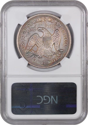 image for: 1871 $1 NGC XF Details (Improperly Cleaned)