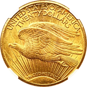 image for: 1925 $20 NGC UNC Details (Obv Cleaned)