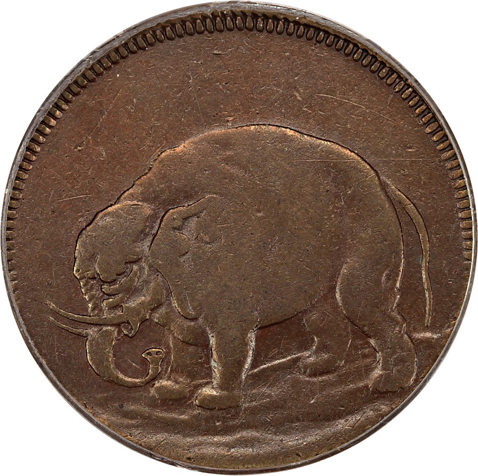 image for: Elephant LONDON 1/2 P PCGS/CAC XF40 (Diagonals)