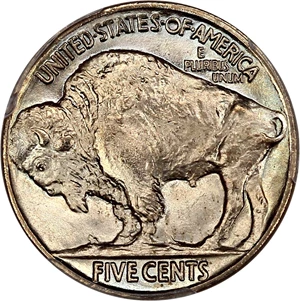image for: 1920 5c PCGS MS67