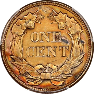 image for: 1858 Flying Eagle 1c PCGS UNC Details (Large Letters, Altered Surfaces)