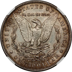 image for: 1887 $1 NGC AU Details (Cleaned)