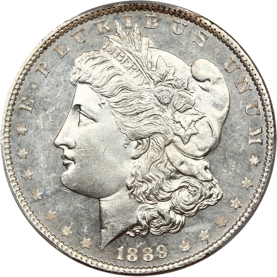 image for: 1889 $1 PCGS MS65 PL