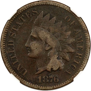 image for: 1876 1c NGC VG Details (Burnished)