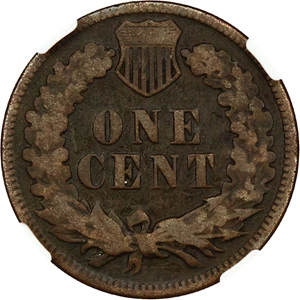 image for: 1876 1c NGC VG Details (Burnished)